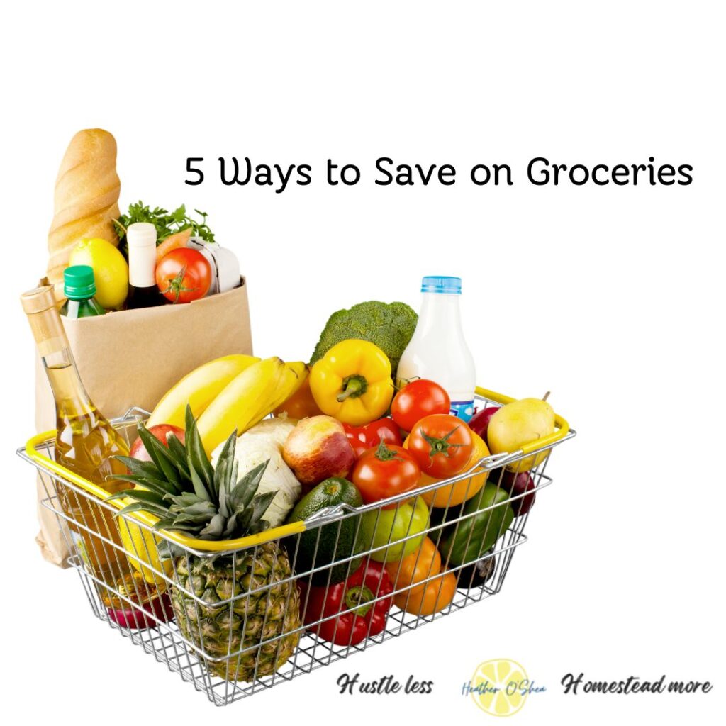 Image of a paper grocery bag and a shopping basket full of fruits, vegetables, bread, and wine. Text: 5 Ways to Save on Groceries Logo: Heather O'Shea Hustle less, Homestead more