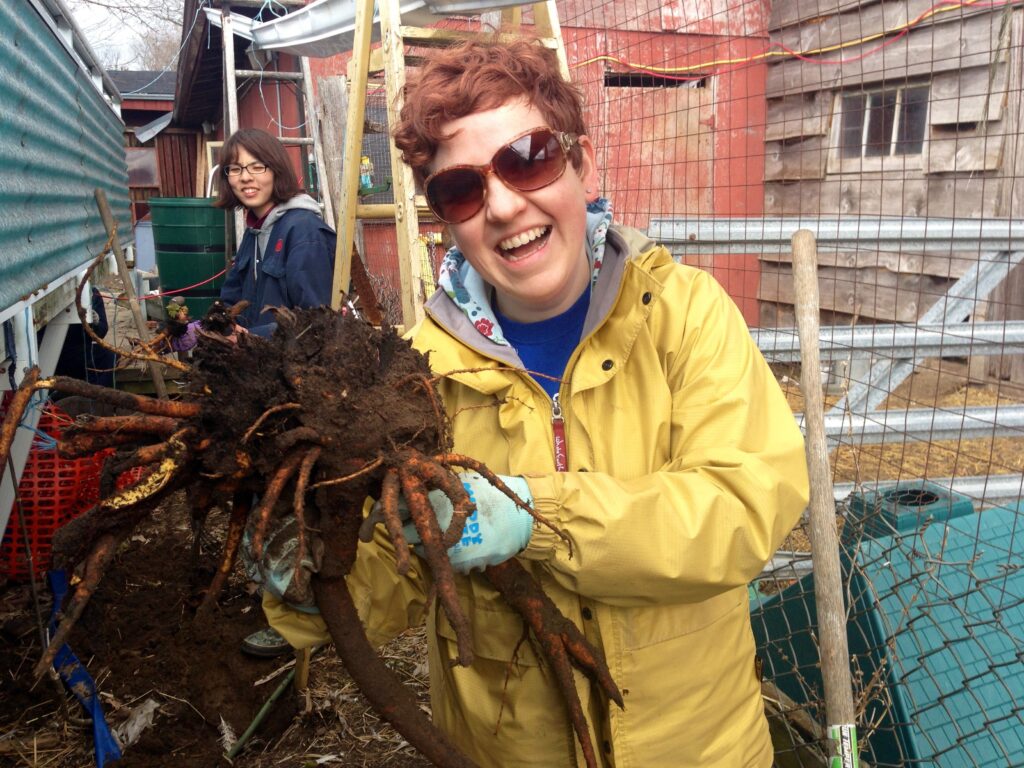Heather O'Shea smiling and holding a bunch of roots and dirt at the farm. Save on groceries with Community Supporte Agriculture. 