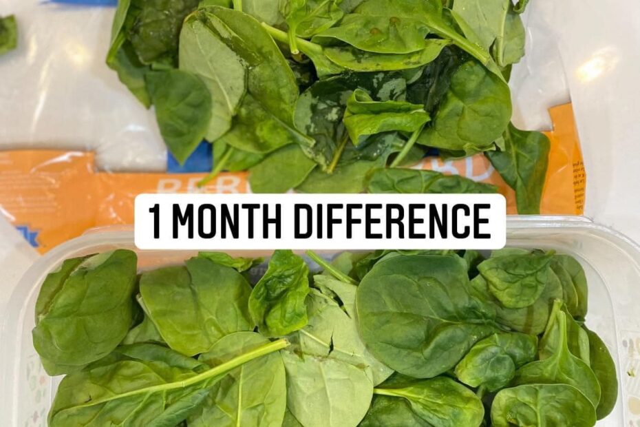 two images of spinach, in the top image the spinach is wilted and in the bottom image the spinach still looks fresh