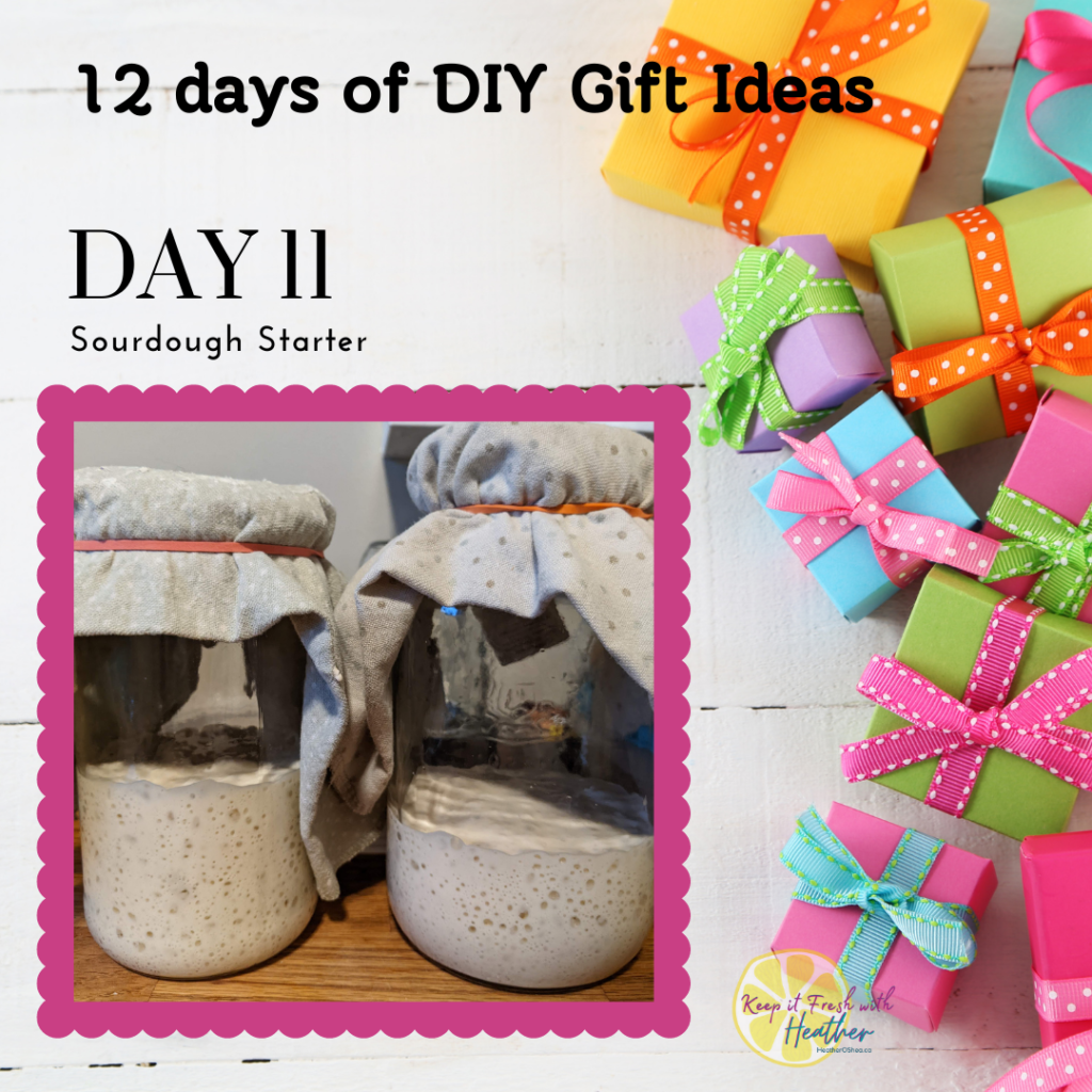 12 days if DIY gift ideas Day 11 Sourdough Starter