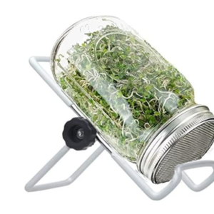 mason jar of sprouts on a metal stand
