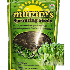 Organic sunflower seeds for growing microgreens