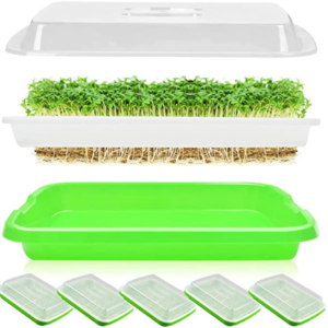 Seed Sprouting Trays for Growing Microgreens