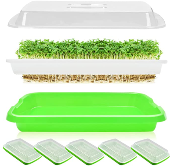 Seed Sprouting Trays for Growing Microgreens