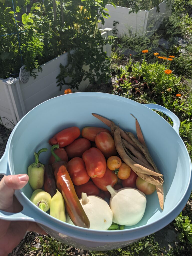 A jumbo Tupperware bowl holding peppers, tomatoes, beans, and squash
