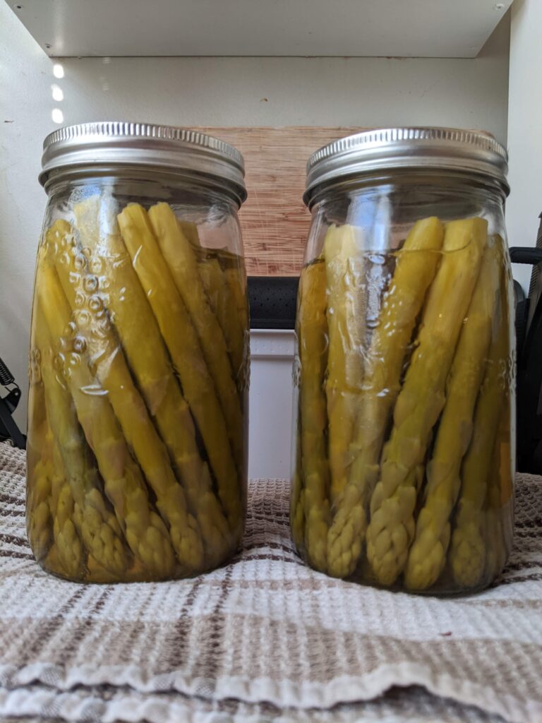 Jars of home canned asparagus