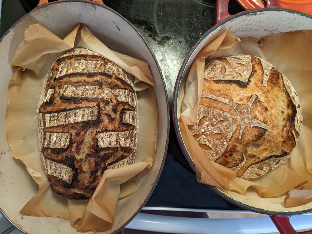 Two loaves of rustic homemade sourdough bread inside two enameled cast iron dutch ovens