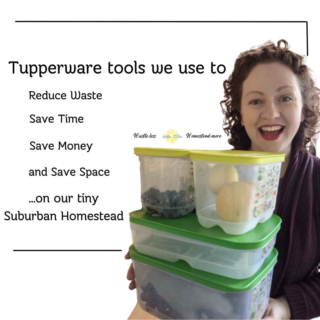 https://heatheroshea.ca/wp-content/uploads/2023/03/The-Tupperware-tools-we-use-to.jpg