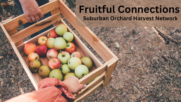 Fruitful Connections Suburban Orchard Harvest Network Image of a wodden crate of apples being held by one hand on each side.