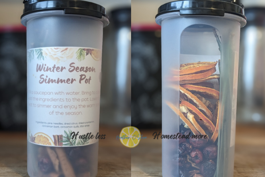 Winter Season Simmer Pot. Tupperware modular mate round with dried cranberries, dried citrus slices, cinnamon, star anise, and pine needles inside.