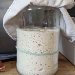 bubbly sourdough starter in a glass jar.