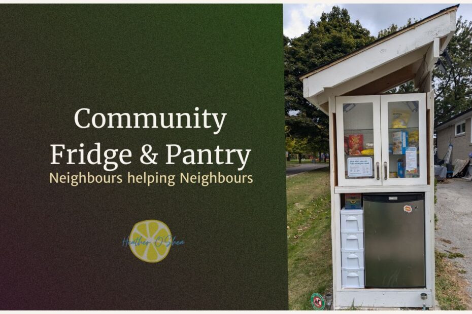 Community Fridge & Pantry. A small pantry with a cabinet on top, a small fridge and very small plastic drawers on the bottom, with a slanted roof, sitting next to the entrance to Rosedale park, a grassy ditch to the left of the pantry, and a residential driveway to the right.