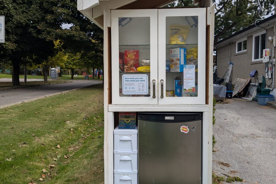 Community Fridge & Pantry. A small pantry with a cabinet on top, a small fridge and very small plastic drawers on the bottom, with a slanted roof, sitting next to the entrance to Rosedale park, a grassy ditch to the left of the pantry, and a residential driveway to the right.