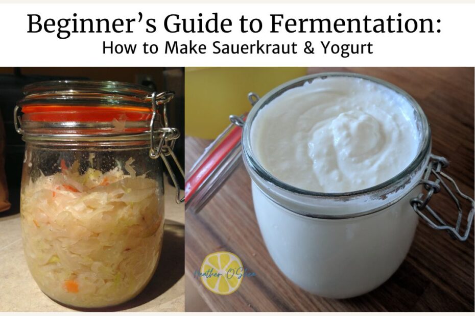 Beginner's Guide to Fermentation: How to Make Sauerkraut & Yogurt Image of a jar of sauerkraut on the left, and a jar of yogurt on the right.