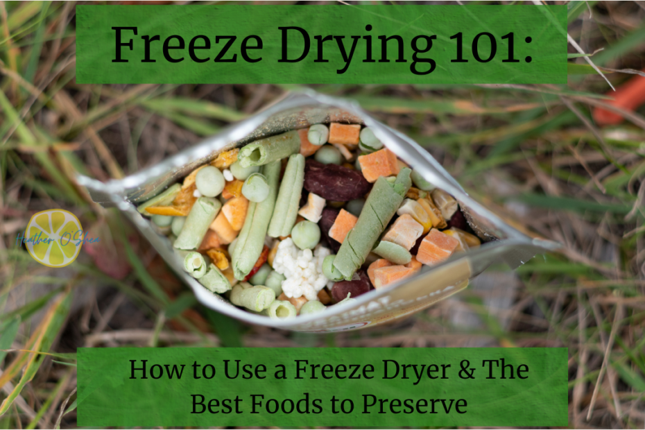 An open Mylar bag filled with a colorful mix of freeze-dried vegetables and legumes, sitting on grass. The overlay text reads 'Freeze Drying 101: How to Use a Freeze Dryer & The Best Foods to Preserve.