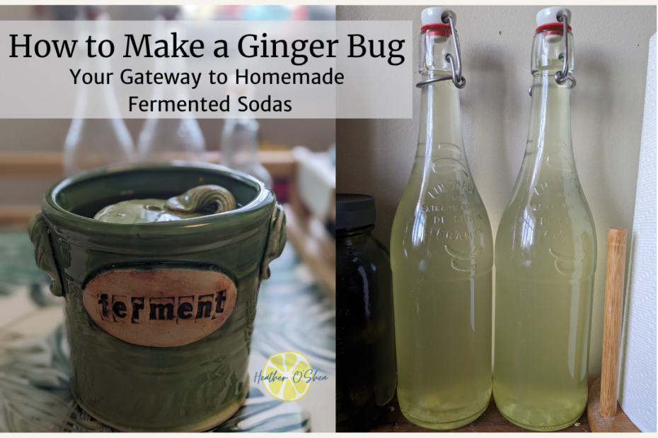 A split-image featuring two aspects of homemade fermentation. On the left, a ceramic fermentation crock labeled "ferment" sits on a kitchen counter, partially filled with a ginger bug starter. On the right, two tall, swing-top glass bottles contain a pale yellow, naturally carbonated homemade soda. The text overlay reads: "How to Make a Ginger Bug – Your Gateway to Homemade Fermented Sodas."