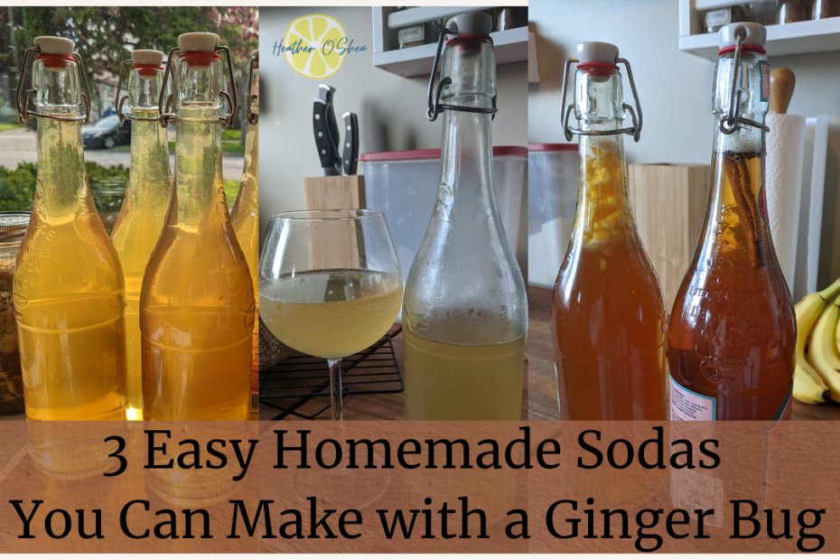 A collage of three images showcasing homemade fermented sodas made with a ginger bug. The left image features three golden-colored swing-top glass bottles filled with a naturally carbonated drink. The middle image shows a glass of pale yellow soda next to a frosted bottle. The right image displays two bottles of a darker amber-colored fermented soda, one containing visible pieces of ginger. Text overlay reads: "3 Easy Homemade Sodas You Can Make with a Ginger Bug."