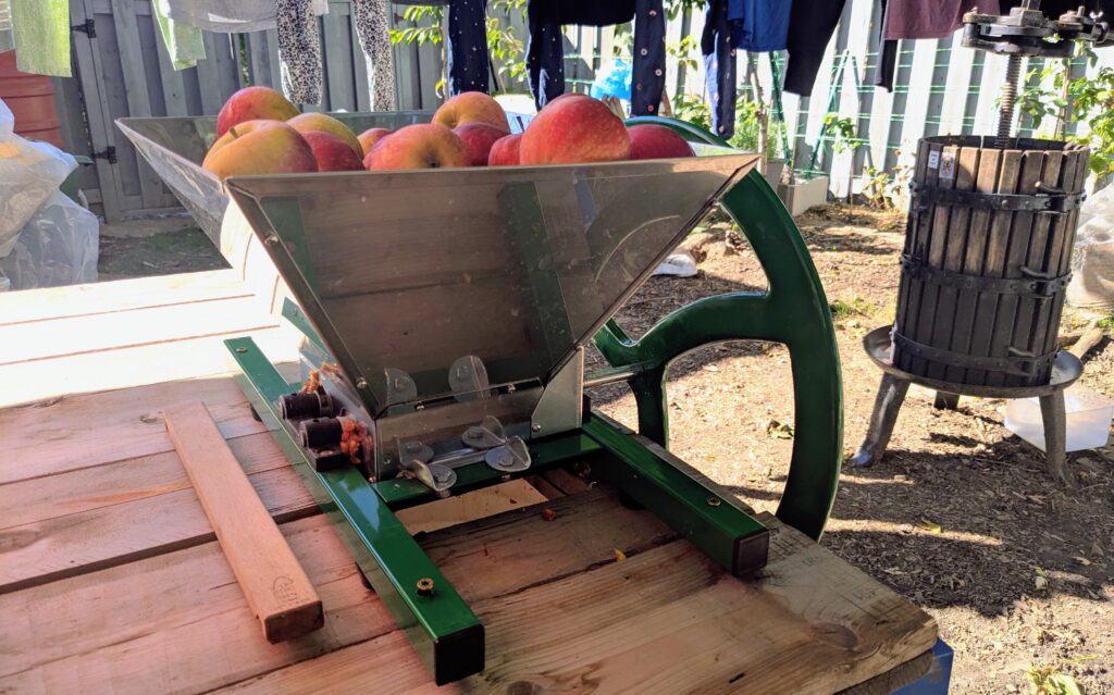 Outside on a sunny day. A manual, hand-crank apple crusher full of apples, sitting on a wood-pallet table in the foreground. An old Italian fruit press in the background. 