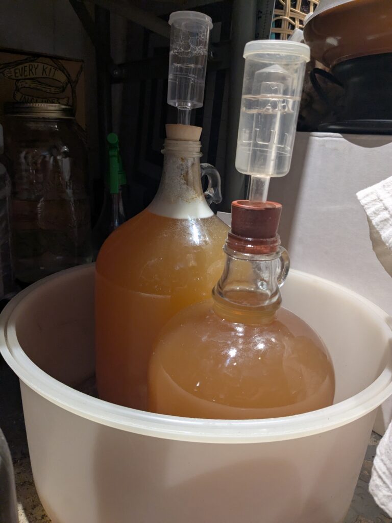 Two glass one-gallon carboys of apple cider in a round, light-coloured bowl