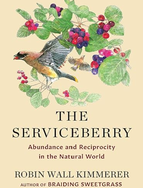 image of the front cover of the book The Serviceberry by Robin Wall Kimmerer. Top half is a painterly image of a bird landing on a serviceberry bush. Bottom half is the Title and Author information. Background is a cream colour.